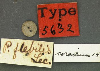 Media type: image;   Entomology 5632 Aspect: labels